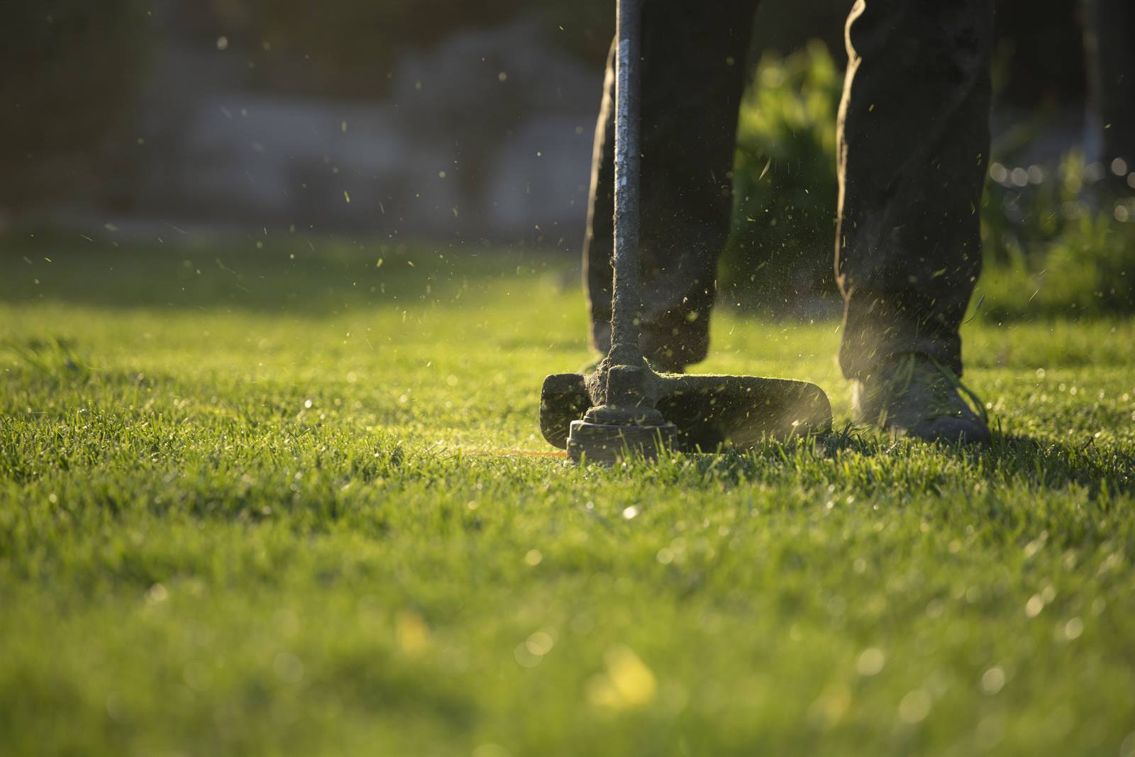 General Landscape Cleanups