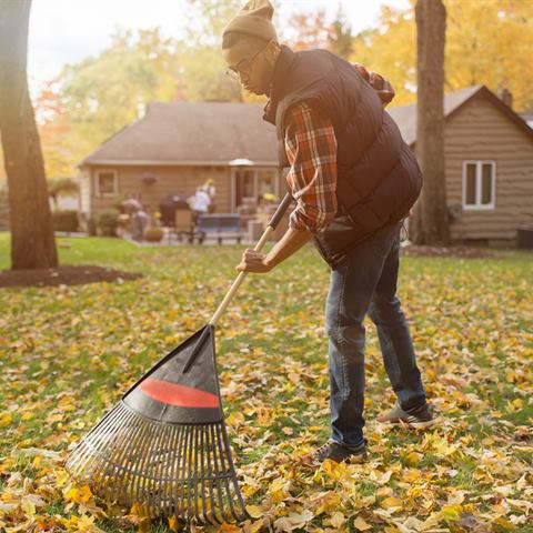 Leaf Removal