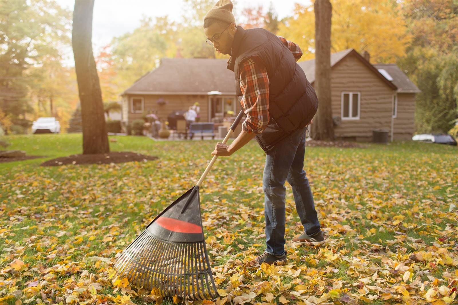 Leaf Removal