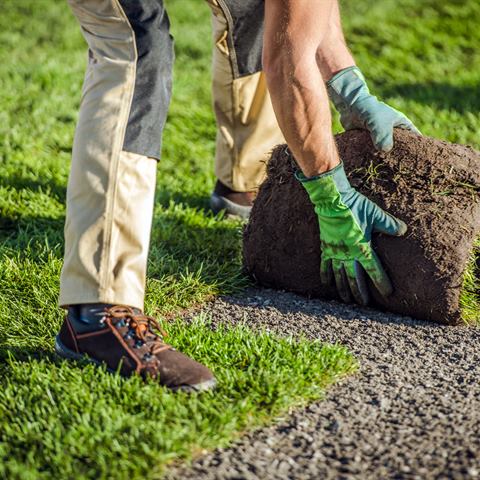 Sod Installation